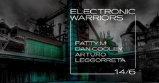 Electronic Warriors